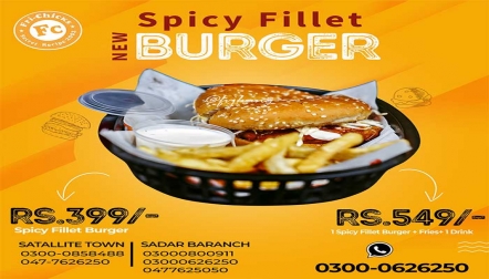 Spicy Fillet Burger By Fri Chicks